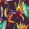 Holidays * | Creative Converting Summer, Bbq And Picnic Themed Decorations Bold Tropics Luncheon Napkin, 3 Ply, 16 Ct