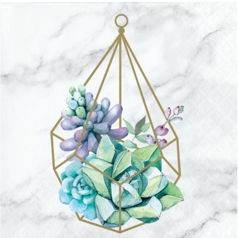 Themed Tableware * | Creative Converting Geometric Succulents Beverage Napkin (16/Pkg)