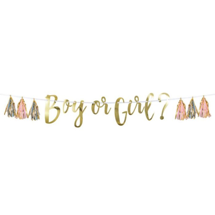 Baby Showers * | Creative Converting Pink, Blue, And Gold Boy Or Girl Tassel Banner (1/Pkg) Baby Showers