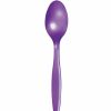 Solid Color Tableware * | Creative Converting Solid Color Tableware Amethyst Purple Plastic Spoons, 24 Ct