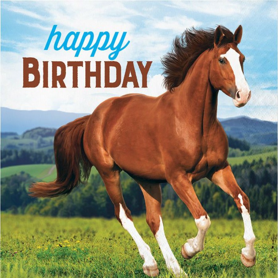 Birthdays * | Creative Converting Kids Birthday Party Themes Horse And Pony Napkins, 16 Ct